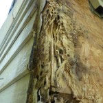 Properly painting cedar sided homes.