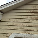 Properly painting cedar sided homes.