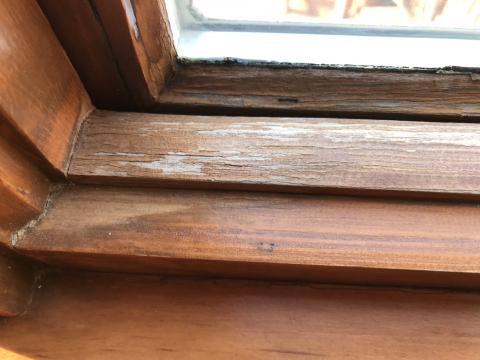 Best Finish for Interior Wood Windows 