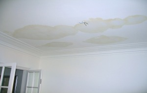 Water damage repair Archives - Lake Area Painting ...